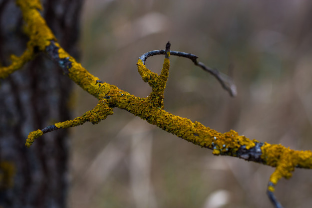 ANDANAsolutions como vender mis fotografías
